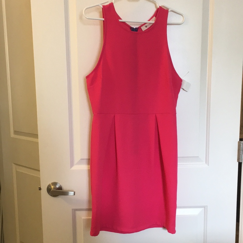 The Impeccable Pig, Hot Pink Dress, size large.